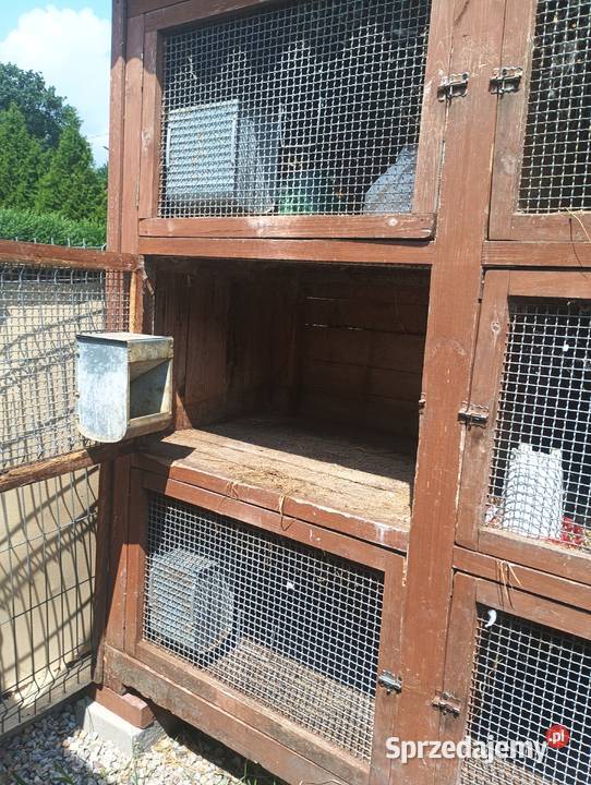 Okazja klatka królików dolnośląskie Polkowice