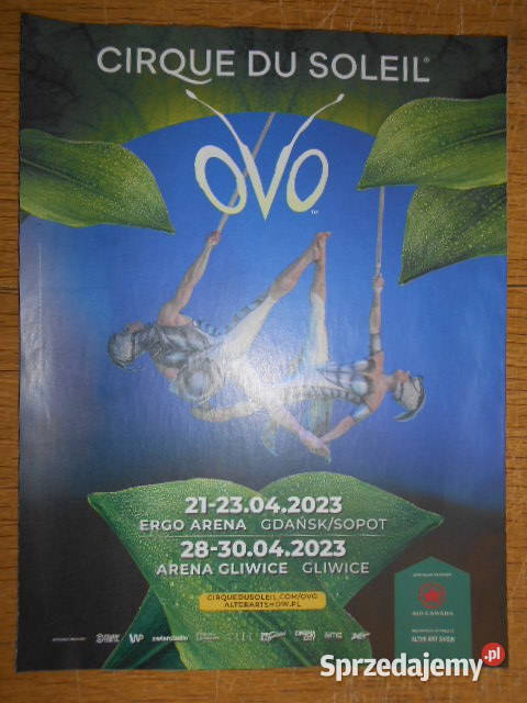 Wysokie Obcasy 4 1223 Afgańska kobieta w Kabulu lubelskie Parczew sprzedam