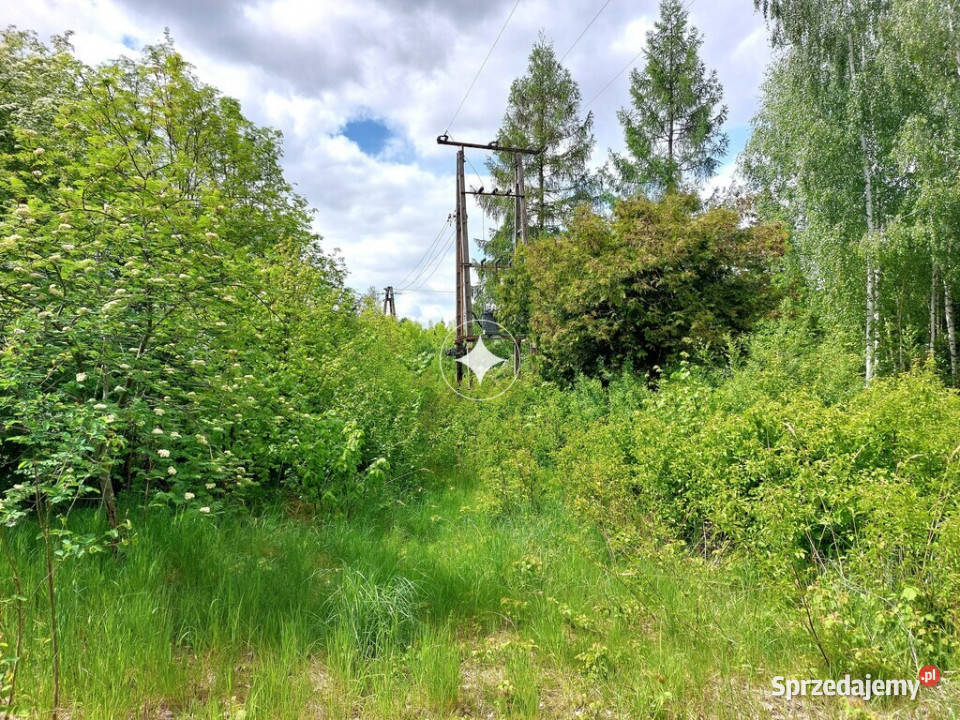 Dwie działki przemysłowa i budowlana Podedwórze