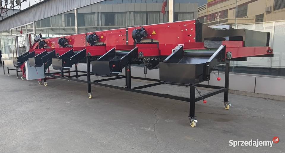 Automatyczny Sortownik do czosnku