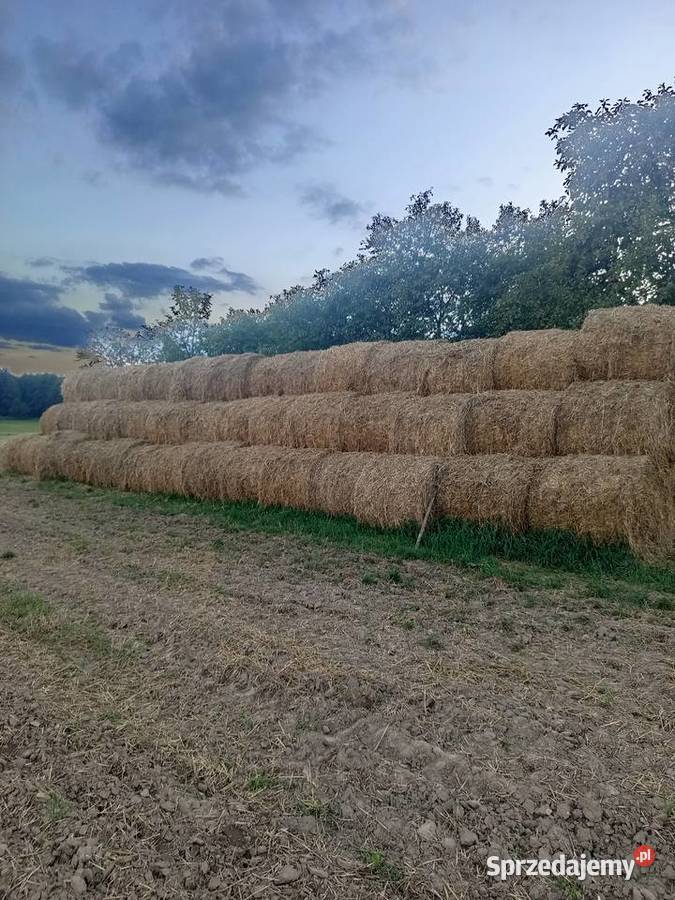 Prasa rolującą deuth fahr Gp 220 Jeżów