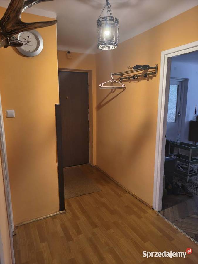 Sprzedam mieszkanie Siedlce Sienkiewicza pow blok Sprzedaż Zbuczyn
