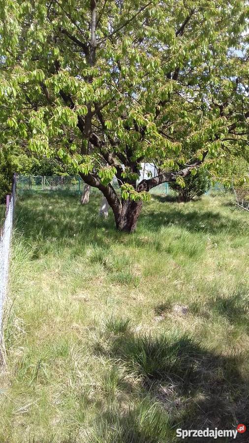 Sprzedam ogródek działkowy 380m2 Płock