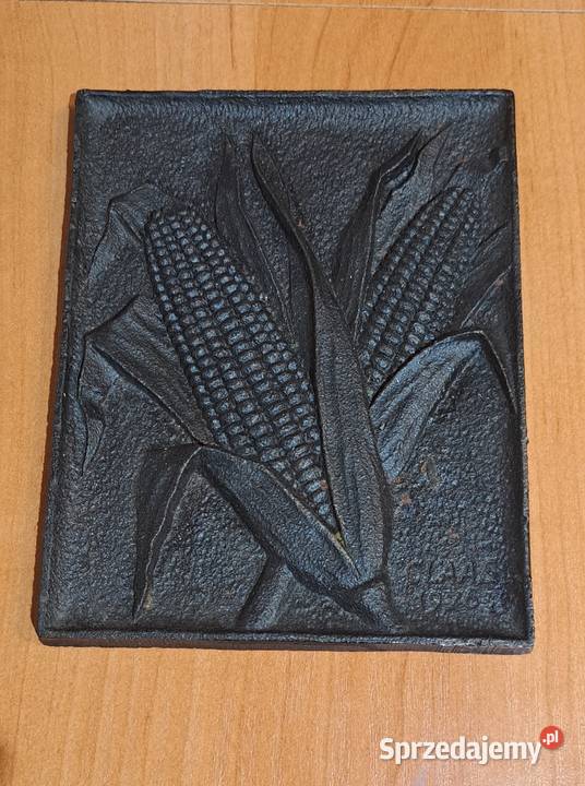 płytki żeliwne do powieszenia na ścianie 5 sztuk Warszawa