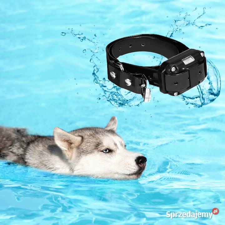 Elektryczna OBROŻA psa PILOT TRENINGOWA dolnośląskie Wrocław