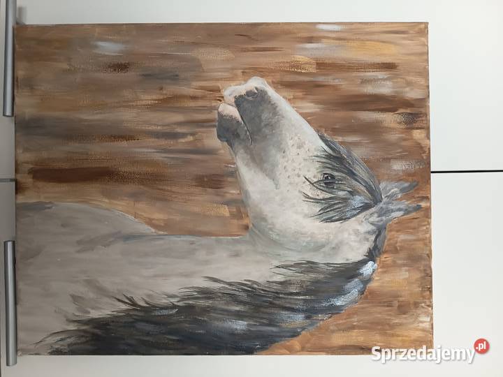 Obraz portret konia Malarstwo Rzeszów