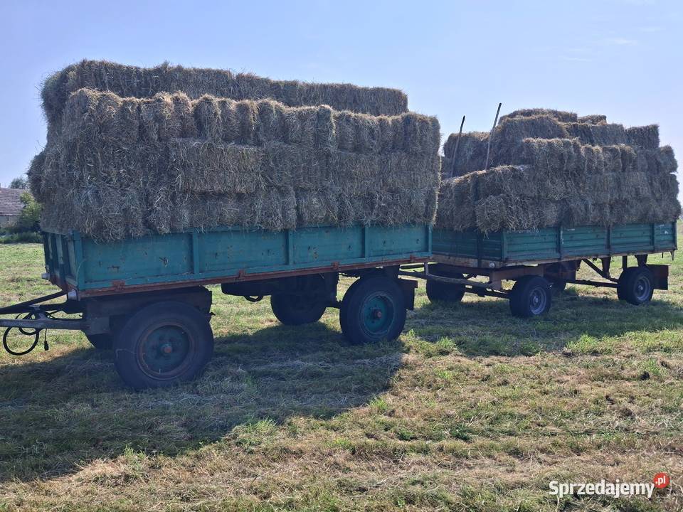 Zbieram rezerwacje na Siano w belach i kostkach Stare Kurowo sprzedam