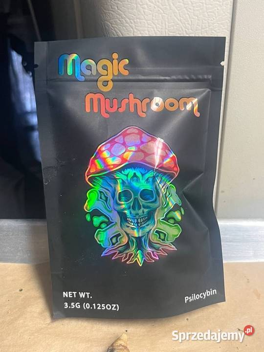 Mushroom trip lubelskie Plebania Wola