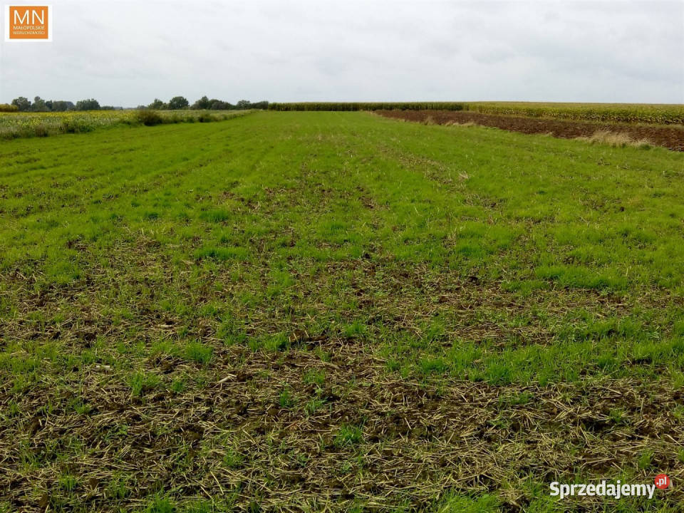 sprzedaży gruntu Piotrowice 1690m2