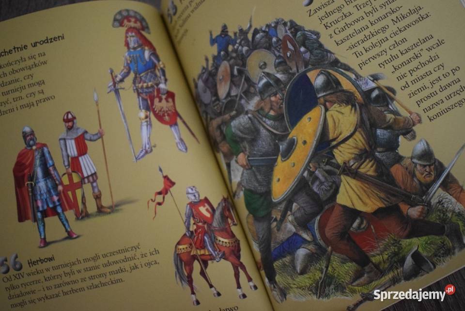 Zbrojownie Malborskie 101 ciekawostek o Polskich Pozostałe kujawsko-pomorskie Chełmno sprzedam