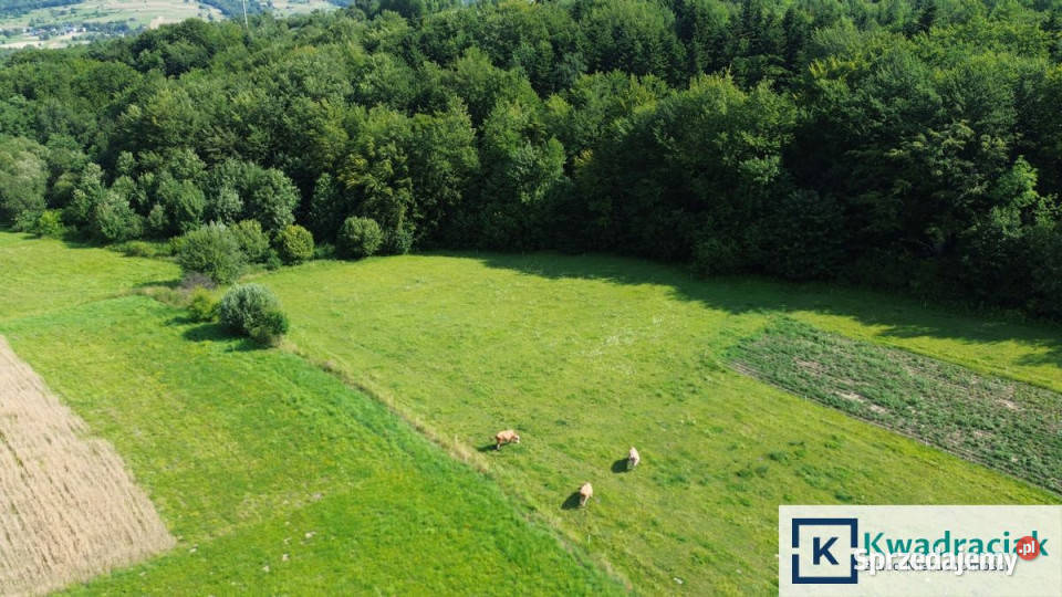 Grunt do sprzedania Łęki Dukielskie 5100 metrów Grunty i działki sprzedam