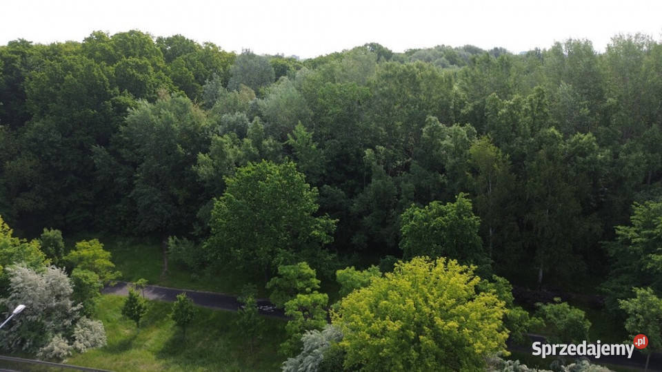 Na sprzedaż działka budowlana na Sołaczu Grunty i działki Poznań sprzedam
