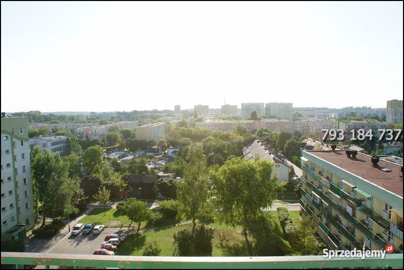 Łódź Łokietka Chojny Liczba pokoi 1 Łódź