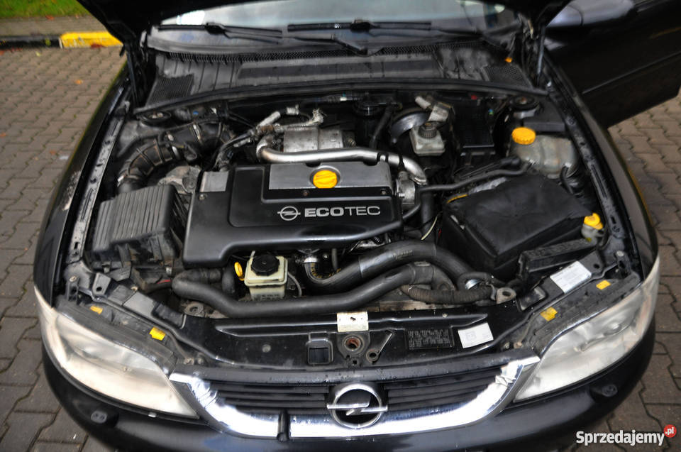 Opel Vectra B full relingi dachowe Sopot