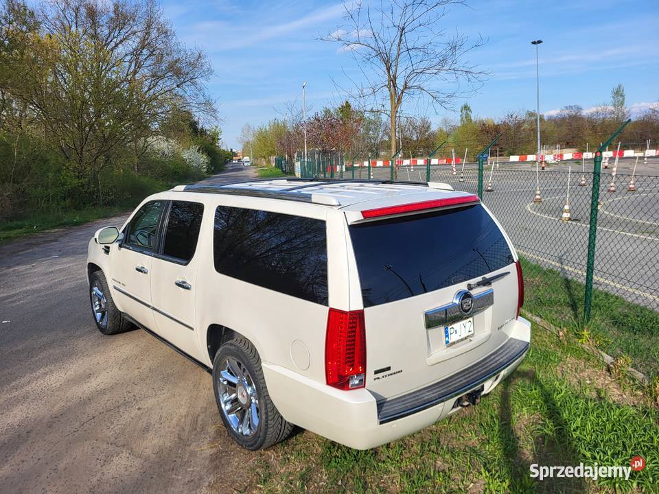 CADILLAC ESCALADE ESV PLATINUM 62 V8 BIAŁA PERŁA 409KM