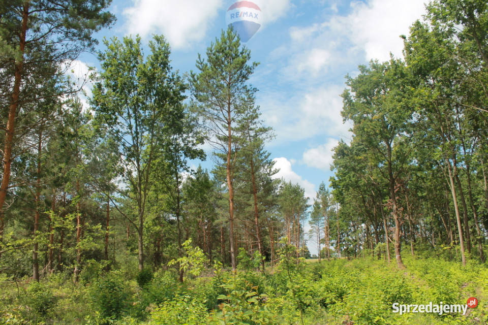 Działki budowlane z mediami koło Pomiechówka Błędowo