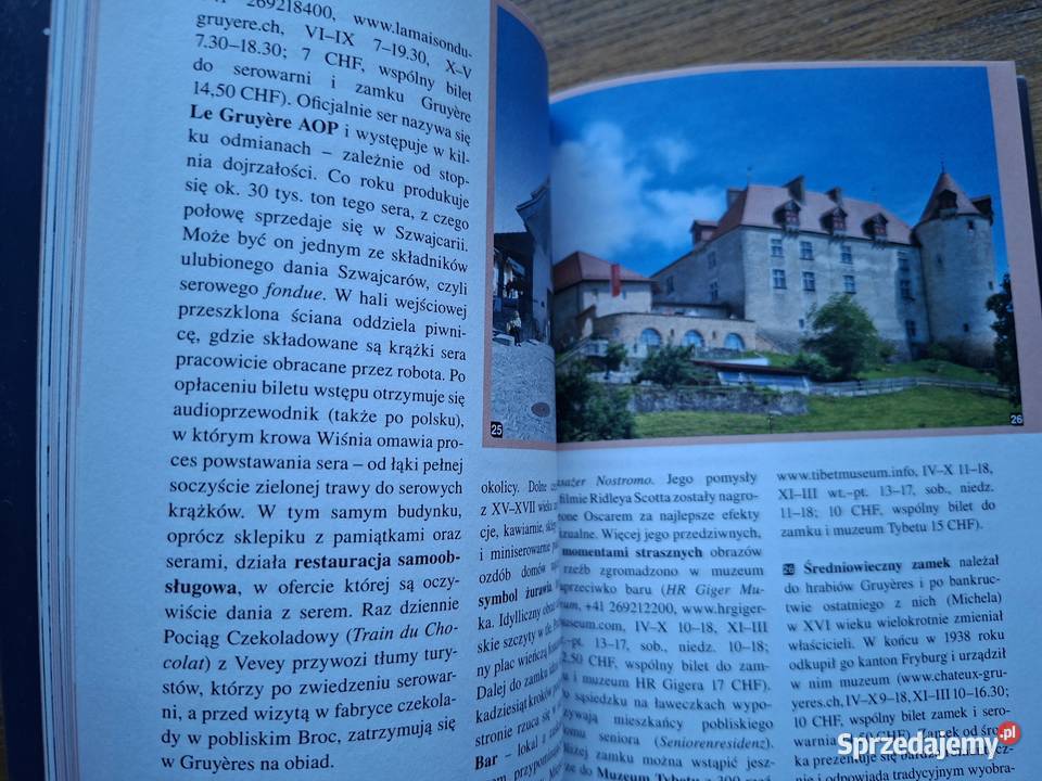 Szwajcaria przewodnik samochodowy przewodnik Kraków