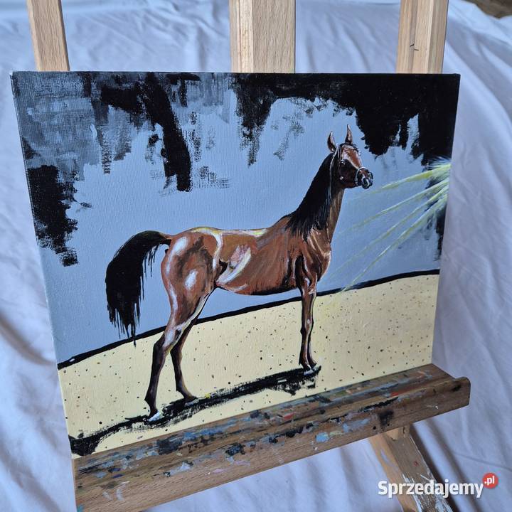 Obraz koń arabski arab stadnina białka Janów Brzesko