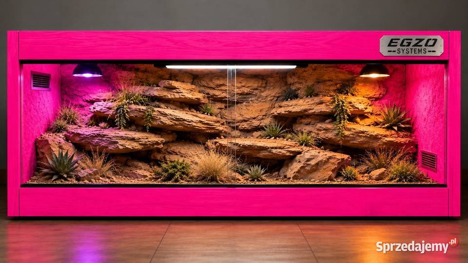 Okazja terrarium agamy brodatej gekona Sosnowiec