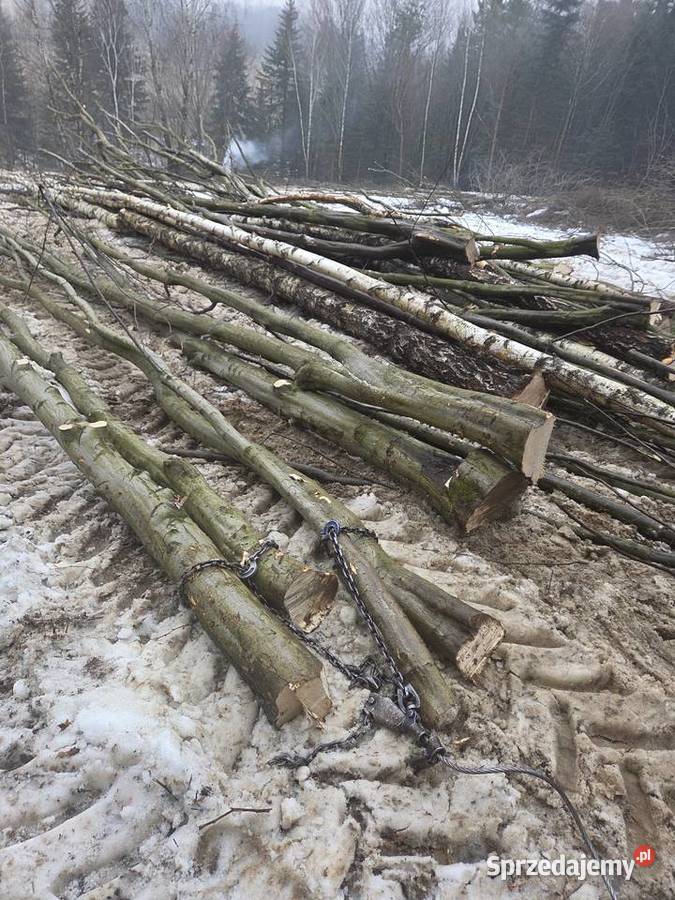 Drewno opałowe grab brzoza osika