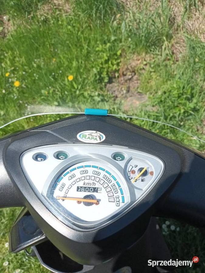 Skuter Zipp toros eltrapo