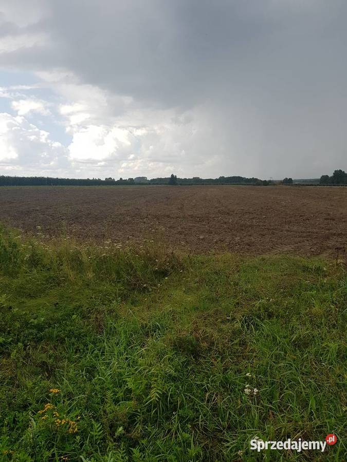 Działka rolna 3ha asfalt Mogielnica