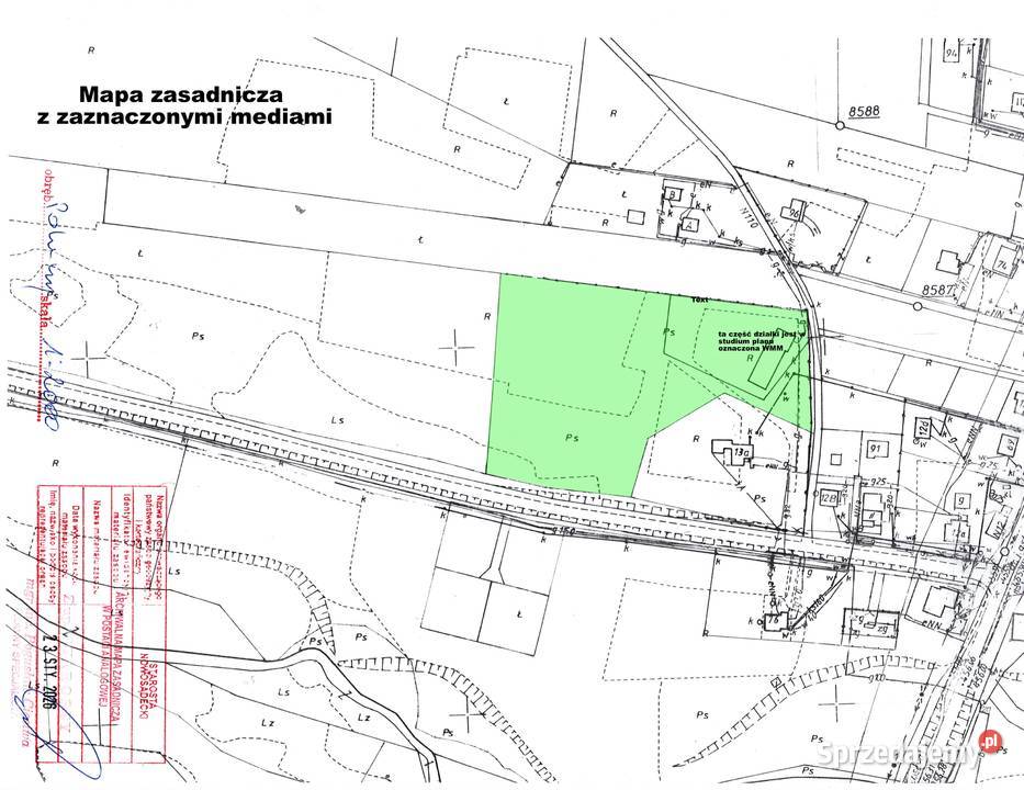 Działka 149 ha Polany gmina Krynica Zdrój rolna Sprzedaż Sprzedaż małopolskie