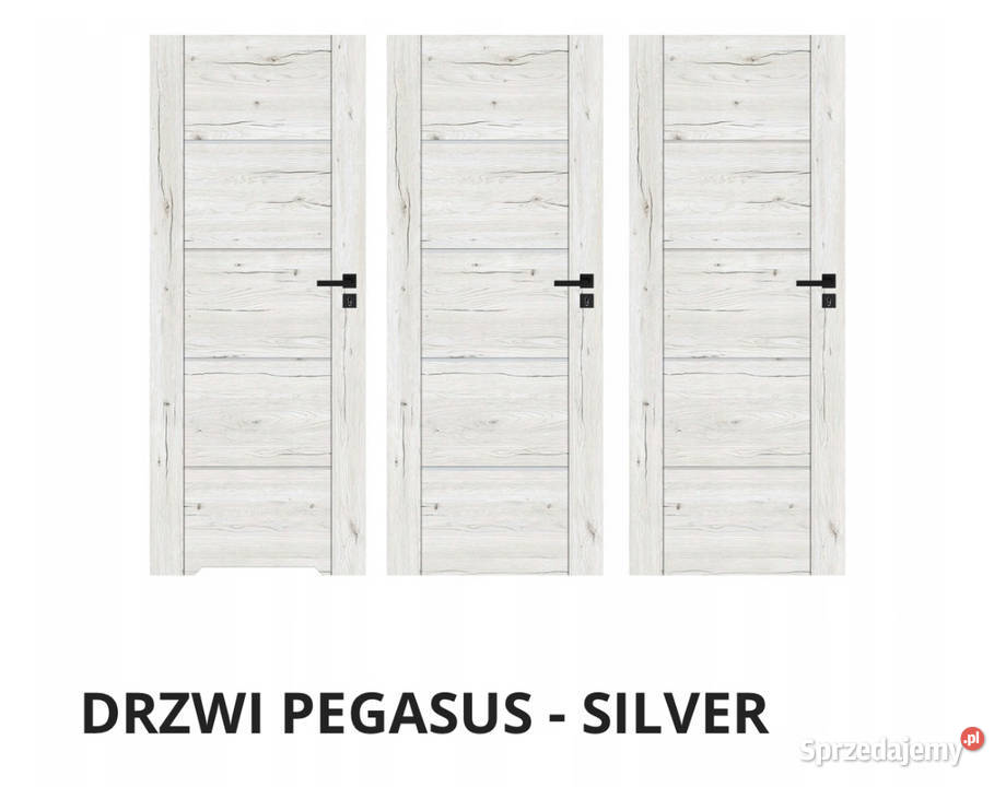 Solidne drzwi wewnętrzne WINDOOR PEGASUS szybka Poznań