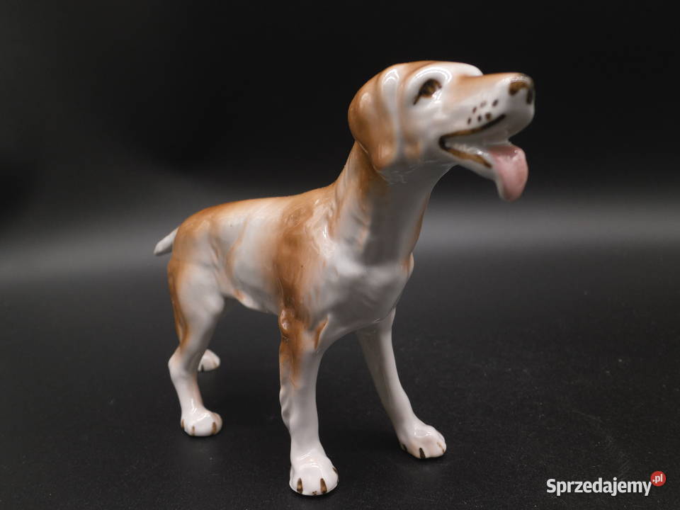 Figurka porcelanowa psa myśliwskiego łomonosow Raszków