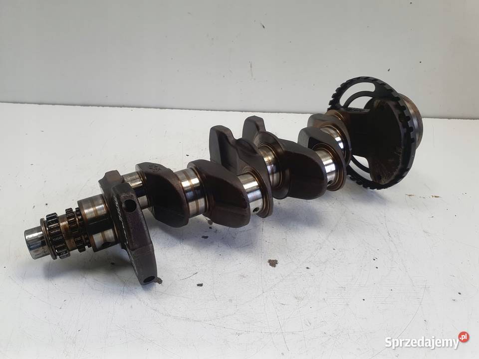 Nissan Juke 16 16V WAŁ KORBOWY 1KA0H Chełm