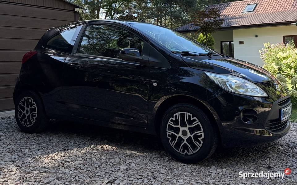 Ford Ka 12 Oryginalny lakier 2 Kpl Kół czarny Płońsk sprzedam