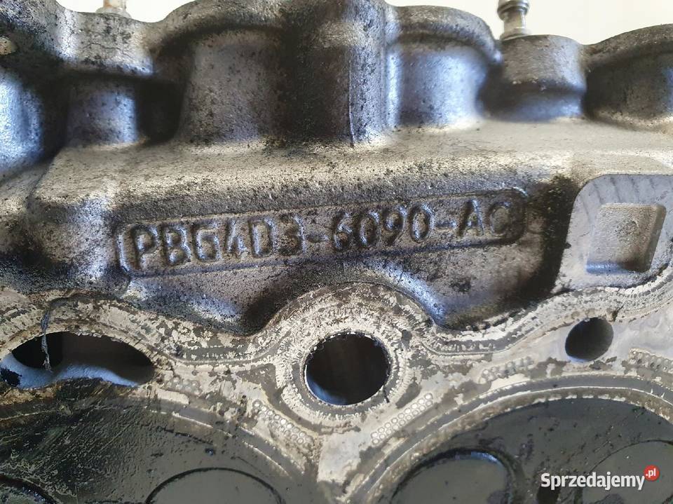 Jaguar XF X260 20 D GŁOWICA CYLINDRÓW Głowice cylindrów Rudka