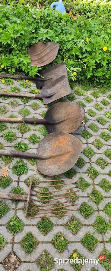 Stara łopata sercowa Łopaty i szpadle Gliwice