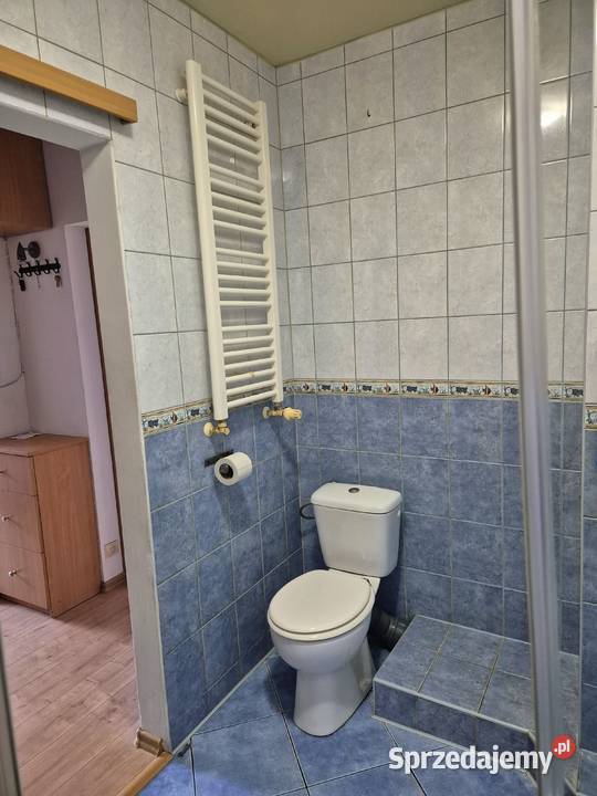 wynajmę mieszkanie
