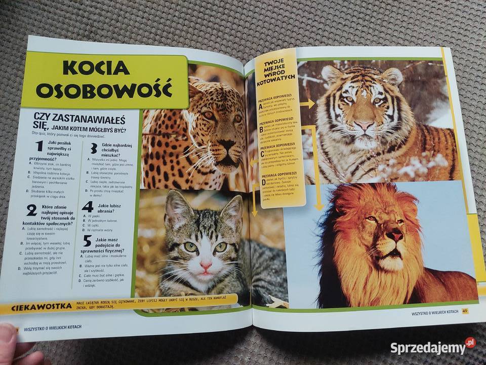 National Geographic Kids Wszystko o wielkich Kraków