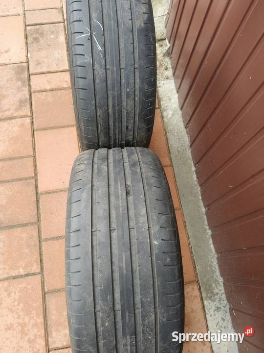 Opony Dębica 1822540 Kosówka