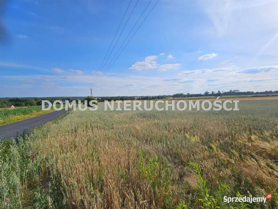 sprzedaży działki 3001m2 Tworzyjanki Sprzedaż Nieruchomości łódzkie sprzedam