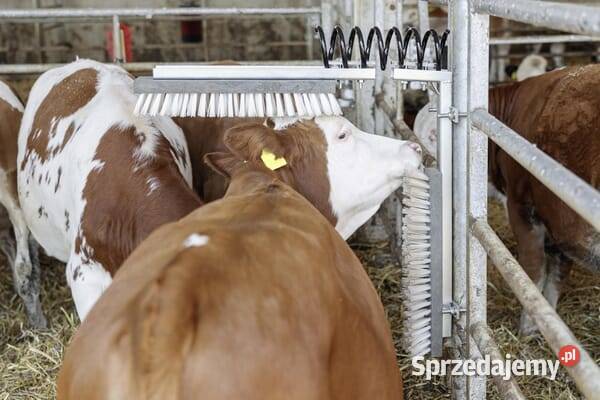 Czochradło bydła kpl Texas 29310 Kamionna