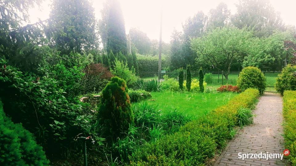 Działka ROD Widzew Zakładowa 420m Zadbana Łódź