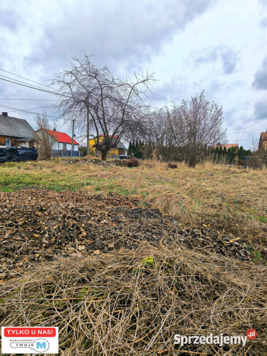 sprzedaży działki Mniów 5000 metrów sprzedam
