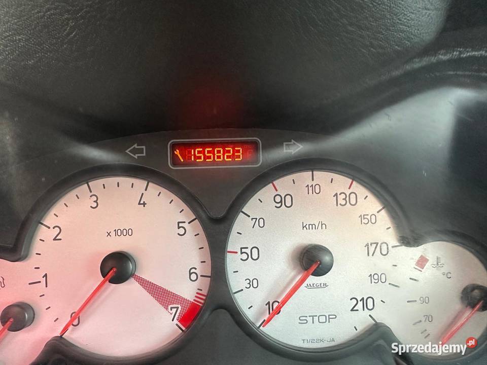 PEUGEOT 206 14 Benzyna 2009 Lift Haczów