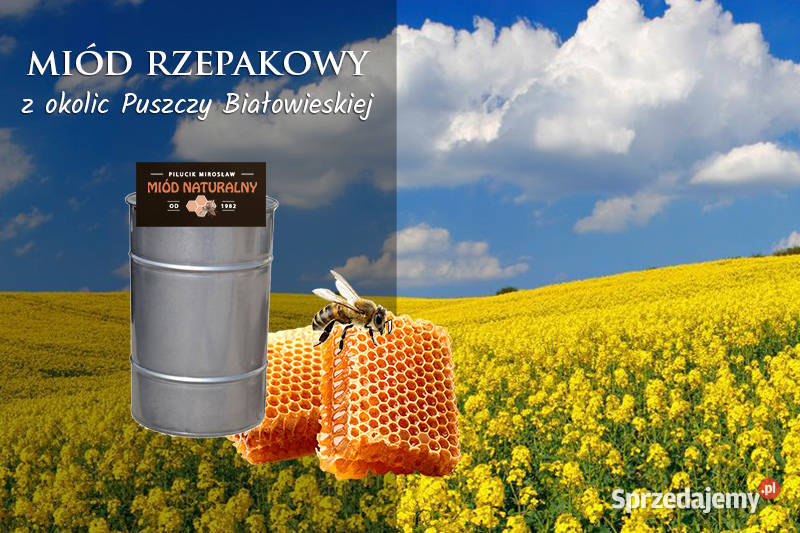 Hurtowa sprzedaż miodu Warszawa