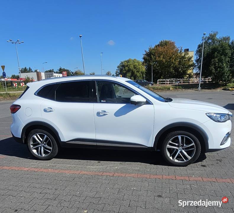 MG EHS Plugin LUXURY system Start-Stop wielkopolskie Września