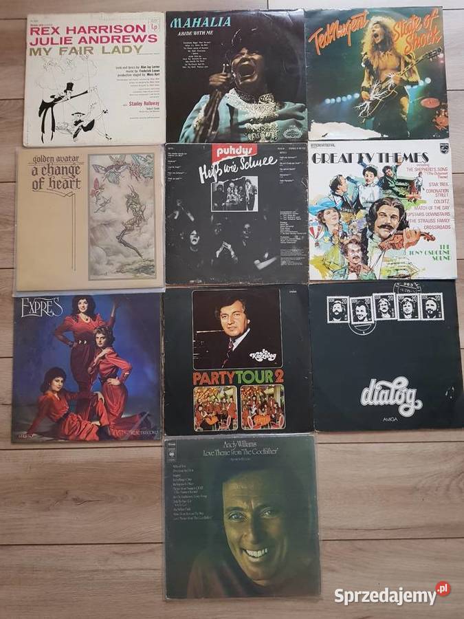 Płyty winylowe LP Ruda Śląska