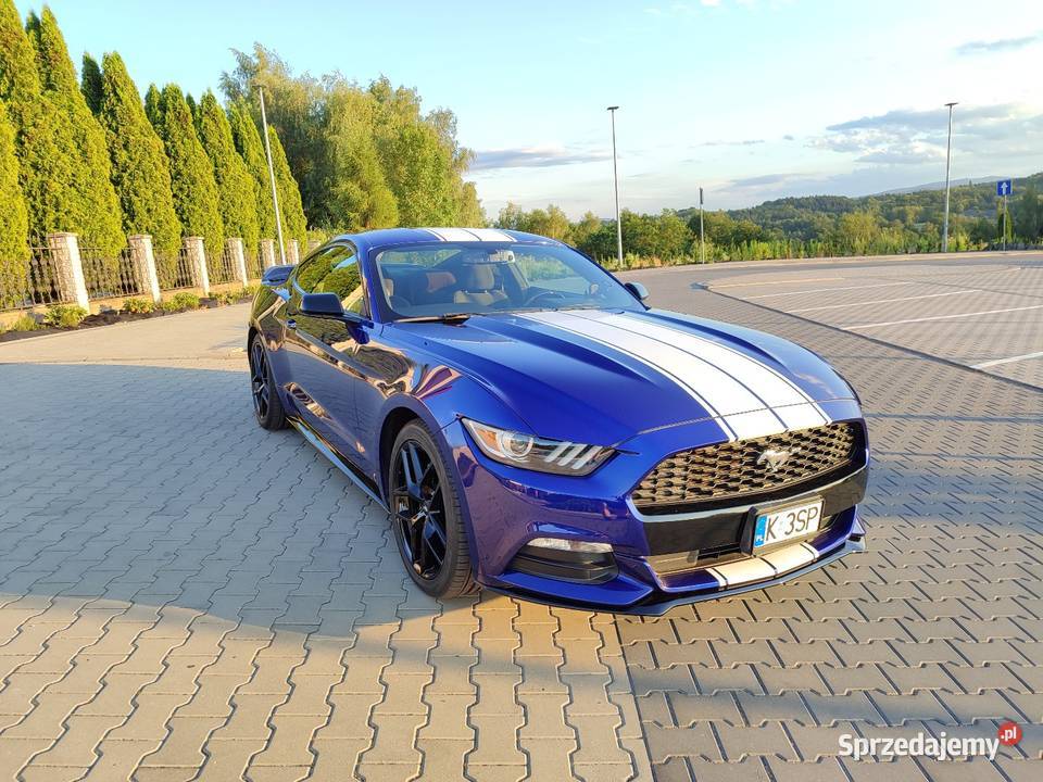 Ford Mustang 2016 Automat perfekcyjny stan Kalwaria Zebrzydowska