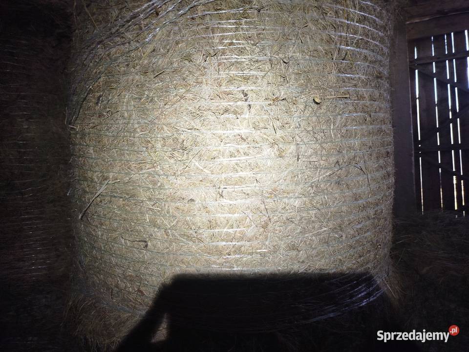 Sprzedam siano w belach lubelskie Kaplonosy