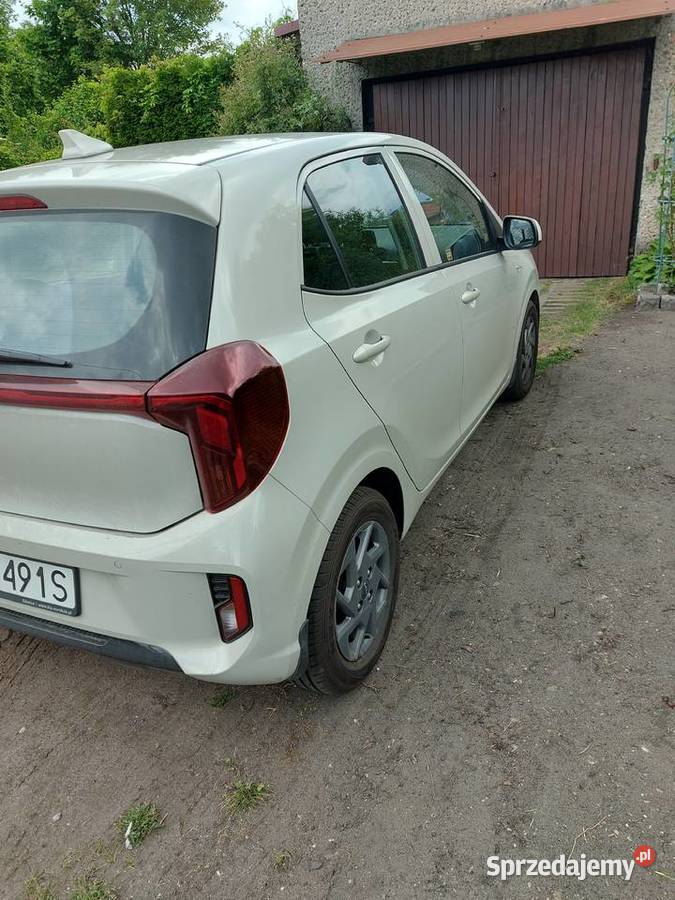 Kia Picanto 12 DP1 5MT 79 Benzyna Manualna Zabrze
