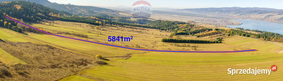 sprzedaży działki Frydman