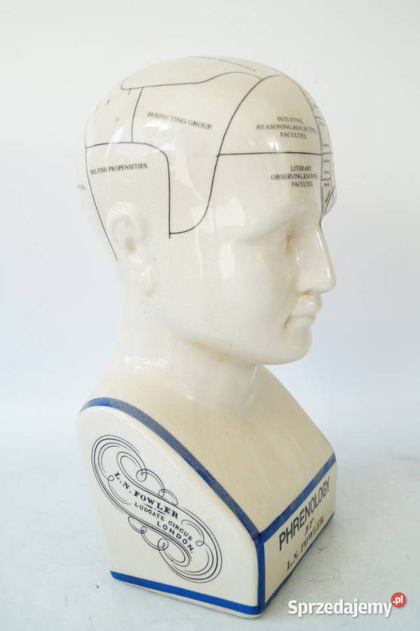 Duża głowa medyczna porcelanowa PHERNOLOGY Gizałki