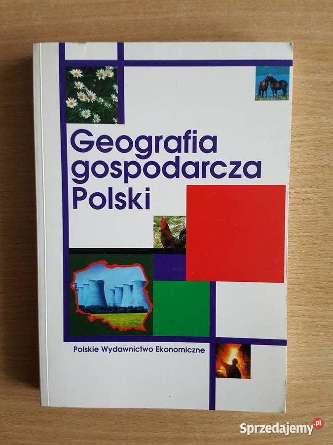 KSIĄŻKA podręcznik Geografia gospodarcza Polski Irena Fierli